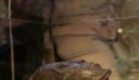 4 bin yıllık sır ortaya çıktı