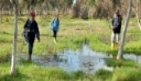 Aliağa'da sivrisineksiz bir yaz için çalışmalar başladı  