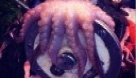 Elimin Değdiği, Gözümün Değdiği Fotoğraf Sergisi