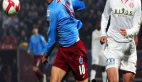 Avcılar Belediyesi hayvanları unutmadı