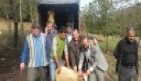 Can Simidi Yardım Derneği ve Sevda Kutlu!..