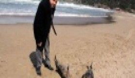 Karadeniz'de katliam!