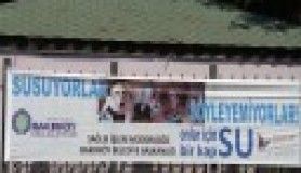 Bir kap su ile hayvanların hayatını kurtarabilirsiniz