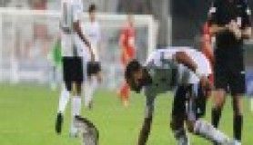 Q7'nin martı mücadelesi