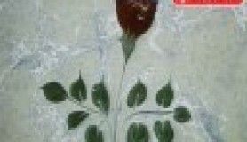 Su ile renklerin büyülü dansı