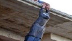 Genç kızı branda kurtardı