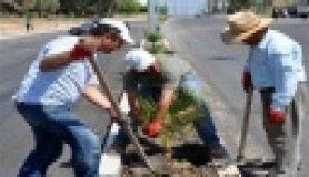 Aliağa Belediyesi, önemli bir yatırım daha gerçekleştirdi