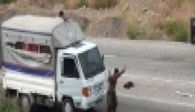 Amanos canileri böyle yakalandı