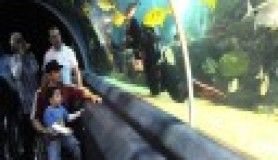 Minik Kuş, Engelliler ile Turkuazoo’yu gezerek, bowling oynamış..