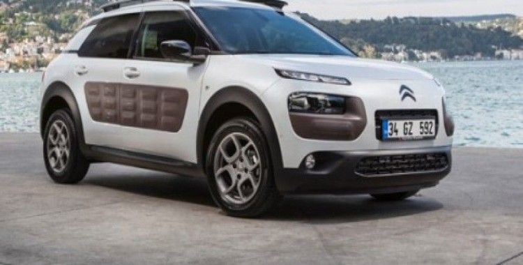 C4 Cactus’e olan yüksek talep, üretimi arttırdı