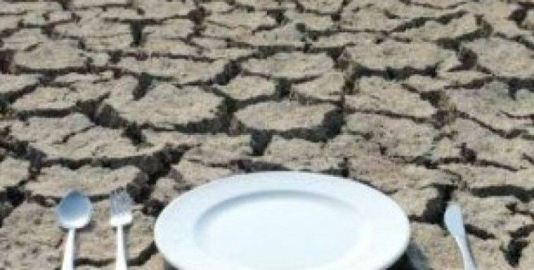 Rüyada aç gözlü görmek ne anlama gelir ?