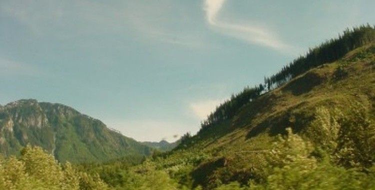 Rüyada bayır görmek ne demek ?