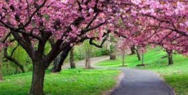  Rüyada cemre görmek ne demek ?