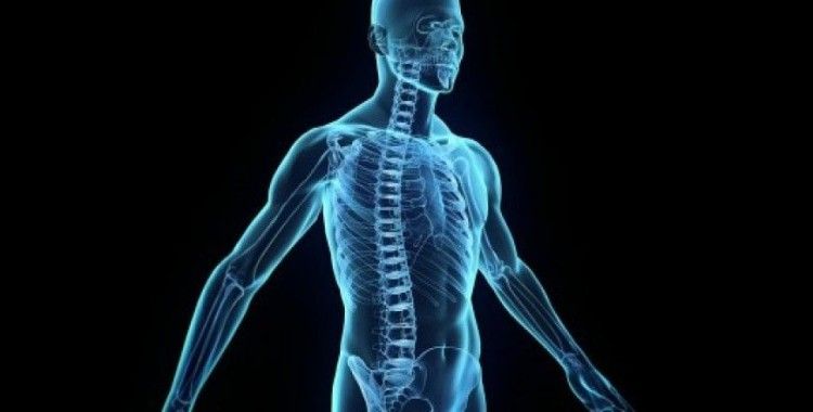 Rüyada beden görmek ne demek ?