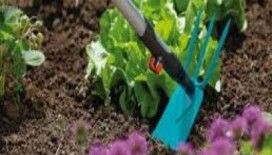  Rüyada çapa görmek ne demek ?