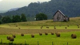  Rüyada çiftlik görmek ne demek ?