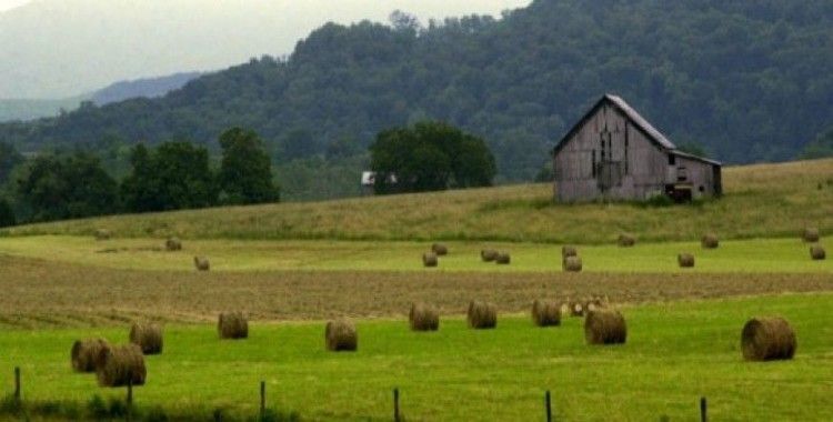  Rüyada çiftlik görmek ne demek ?