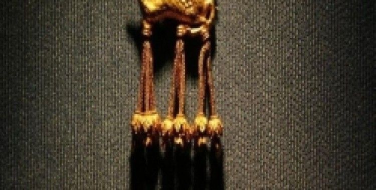 Rüyada broş görmek ne demek ?