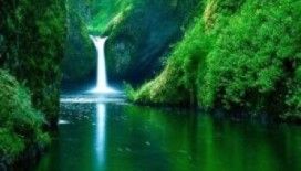 Rüyada bulantı görmek