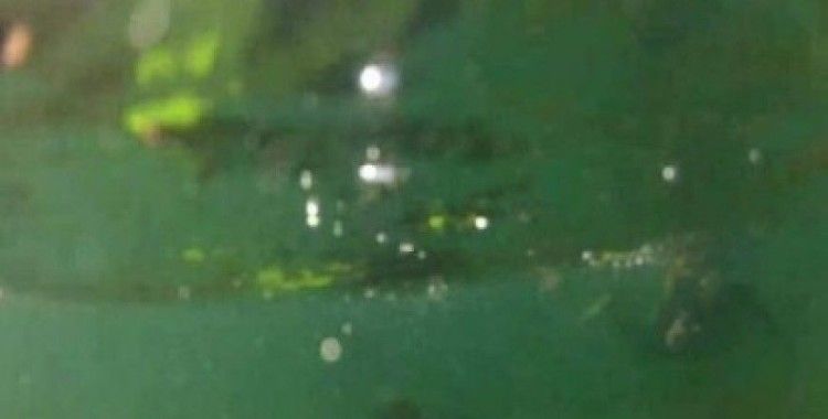 Rüyada bulanıklık görmek