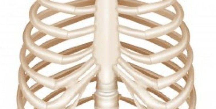 Rüyada eğe kemiği görm