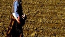 Rüyada ekinci görmek