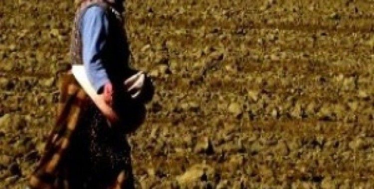 Rüyada ekinci görmek