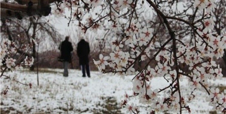 Meteorolojiden zirai don uyarısı