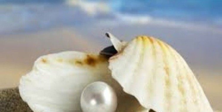  Rüyada inci görmek