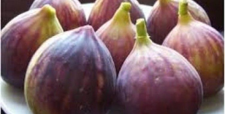 Rüyada incir görmek