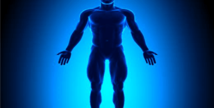 Rüyada insan vücudu görmek