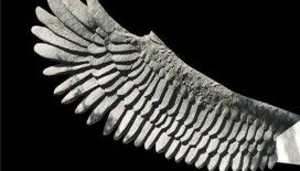 Rüyada kanat görmek