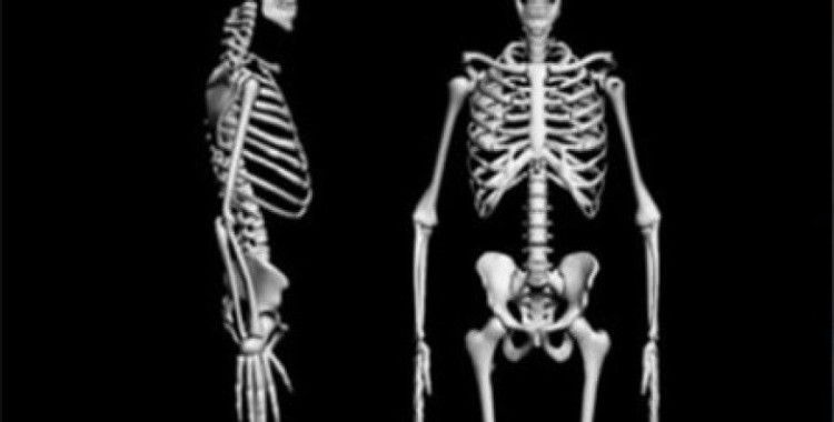 Rüyada iskelet görmek