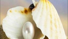 Rüyada istiridye görmek