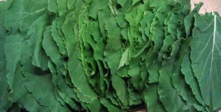 Rüyada karalahana görmek