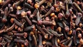 Rüyada karanfil görmek