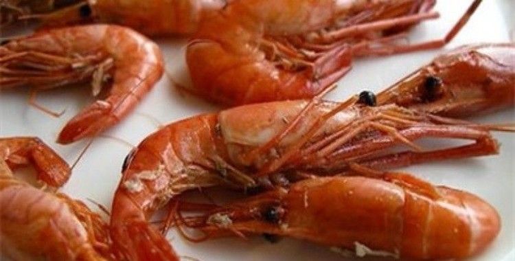 Rüyada karides görmek