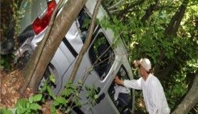 Arıdan korkup şarampole yuvarlandı 