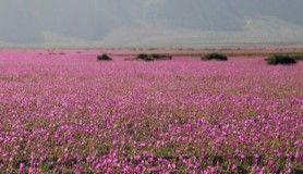 Dünyanın dengesi bozuldu