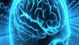 Beynimiz hakkında şaşırtan gerçekler