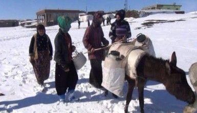 Kadınların bitmeyen çilesi, eşeklerle su taşıyorlar