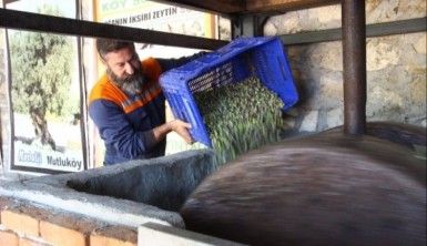 100 yıllık sistemle 'zeytin sütü' üretiyor