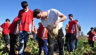 Rizeli gençler Maraş’ta horonla pancar söktü