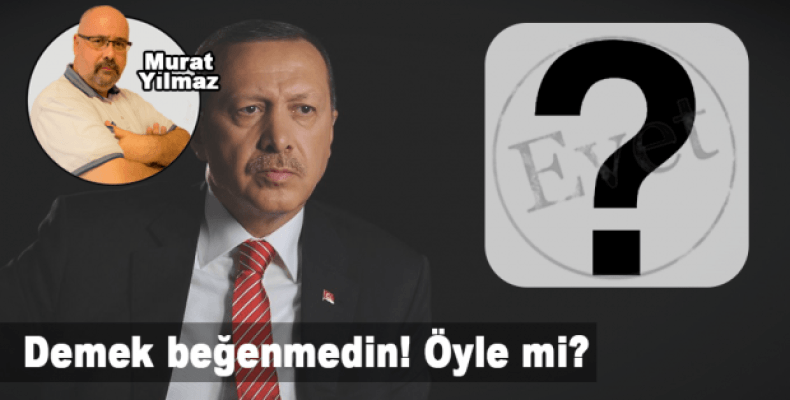 Demek beğenmedin! Öyle mi?