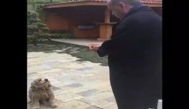 Erdoğan küçük köpeği böyle besledi