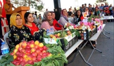 Amanoslar'da 'Kayısı Festivali'