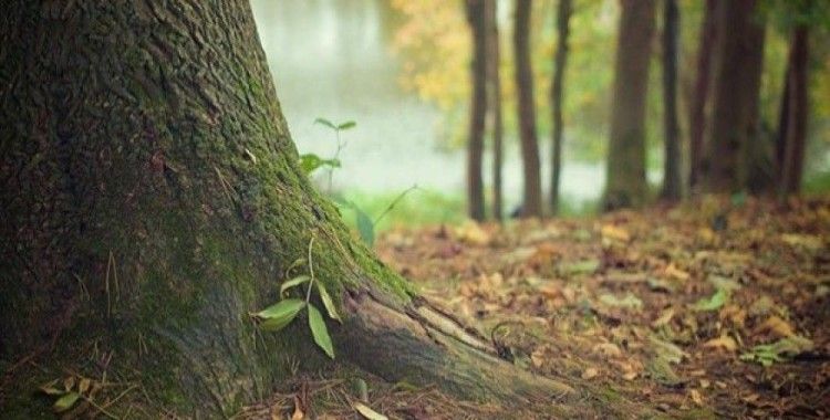 Dünyada doğal kaynakların tüketilme hızı artıyor