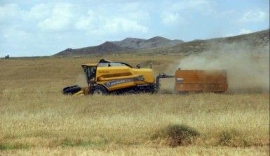 Biçerdöverler tarlaya girdi, hasat yüzleri güldürdü