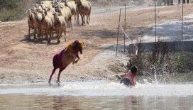 Sudan Koyun Geçirme Yarışması yapıldı