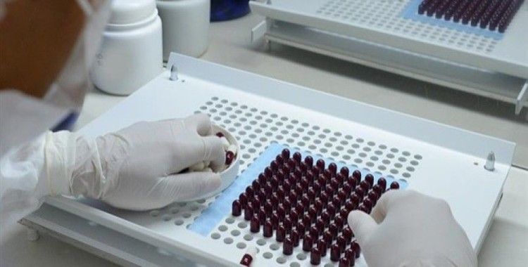 Tüm antibiyotiklere dirençli süper bakteri keşfedildi